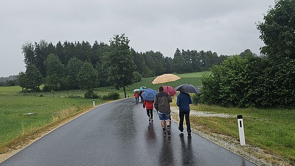 20250707_094052.jpg  