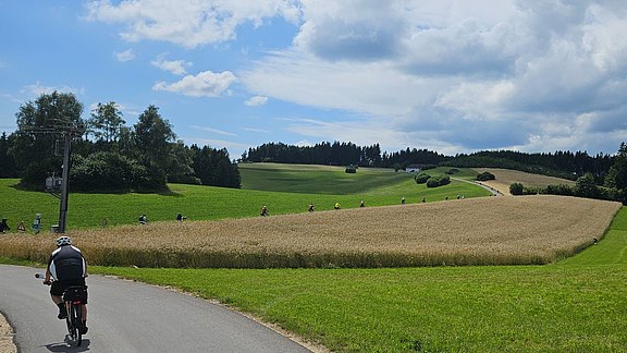 20250723_141059-1.jpg  