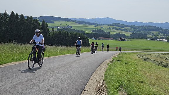 20250604_163706.jpg  